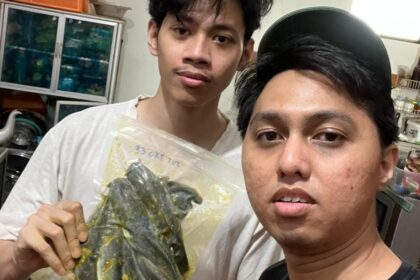 IMG 20260711 WA0024