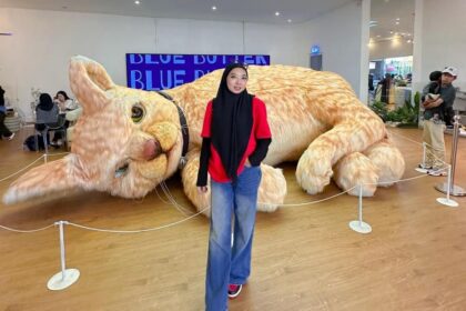 IMG 20260810 WA003328229